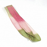 Zijde lint zijden crinkle chiffon fairy ribbon kleurmix Dark Lilies silk